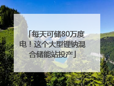 每天可储80万度电！这个大型锂钠混合储能站投产