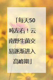 每天50吨左右！云南野生菌交易逐渐进入高峰期