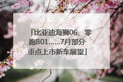 比亚迪海狮06、零跑B01……7月部分重点上市新车展望