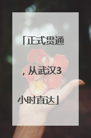 正式贯通，从武汉3小时直达