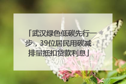 武汉绿色低碳先行一步，39位居民用碳减排量抵扣贷款利息