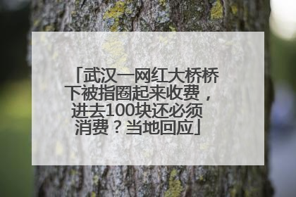 武汉一网红大桥桥下被指圈起来收费，进去100块还必须消费？当地回应