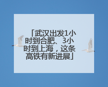 武汉出发1小时到合肥、3小时到上海，这条高铁有新进展