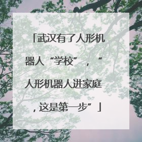 武汉有了人形机器人“学校”，“人形机器人进家庭，这是第一步”