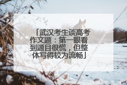 武汉考生谈高考作文题：第一眼看到题目很慌，但整体写得较为流畅