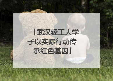 武汉轻工大学子以实际行动传承红色基因