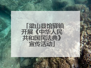 梁山县馆驿镇开展《中华人民共和国民法典》宣传活动