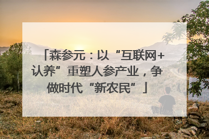 森参元：以“互联网+认养”重塑人参产业，争做时代“新农民”