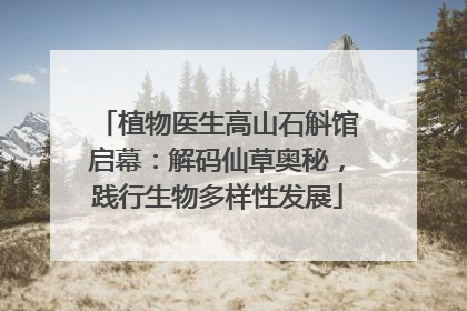 植物医生高山石斛馆启幕：解码仙草奥秘，践行生物多样性发展