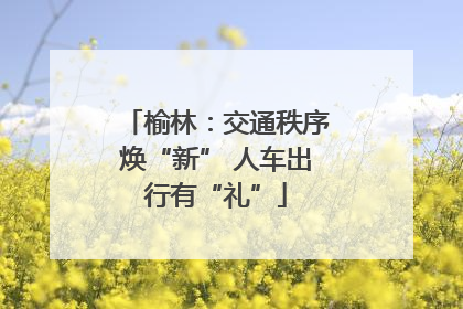 榆林：交通秩序焕“新” 人车出行有“礼”