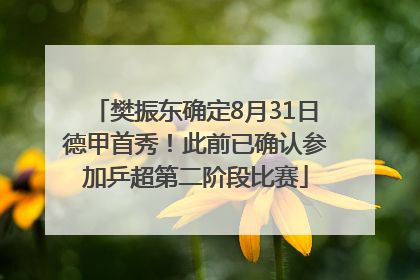 樊振东确定8月31日德甲首秀！此前已确认参加乒超第二阶段比赛