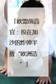 欧盟前高官：投在加沙的炸弹半数“欧洲造”