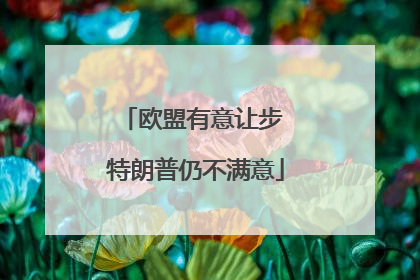 欧盟有意让步 特朗普仍不满意