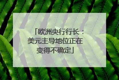 欧洲央行行长：美元主导地位正在变得不确定