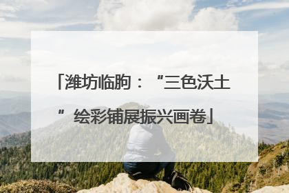 潍坊临朐：“三色沃土”绘彩铺展振兴画卷
