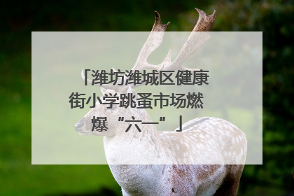 潍坊潍城区健康街小学跳蚤市场燃爆“六一”
