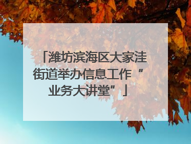 潍坊滨海区大家洼街道举办信息工作“业务大讲堂”