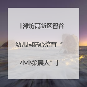 潍坊高新区智谷幼儿园精心培育“小小策展人”