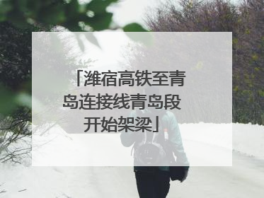 潍宿高铁至青岛连接线青岛段开始架梁
