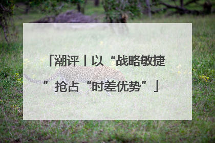 潮评丨以“战略敏捷”抢占“时差优势”