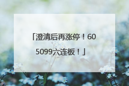 澄清后再涨停！605099六连板！