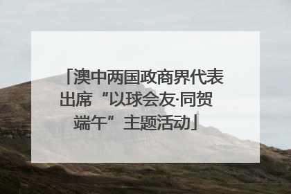澳中两国政商界代表出席“以球会友·同贺端午”主题活动