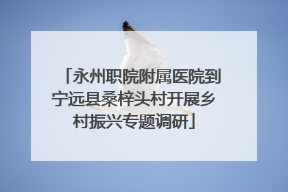 永州职院附属医院到宁远县桑梓头村开展乡村振兴专题调研