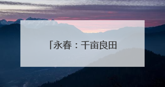 永春：千亩良田筑根基 产业融合绘“丰”景