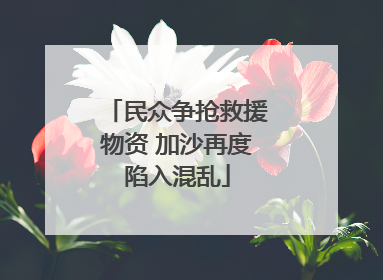 民众争抢救援物资 加沙再度陷入混乱