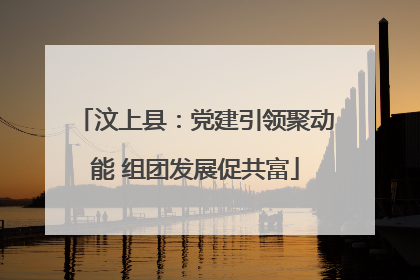 汶上县：党建引领聚动能 组团发展促共富