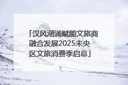 汉风潮涌赋能文旅商融合发展2025未央区文旅消费季启幕