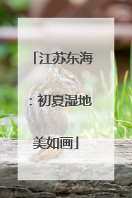 江苏东海：初夏湿地美如画