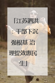 江苏泗洪：干部下沉强根基 治理提效惠民生