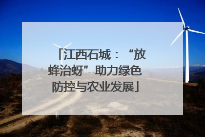 江西石城：“放蜂治蚜”助力绿色防控与农业发展