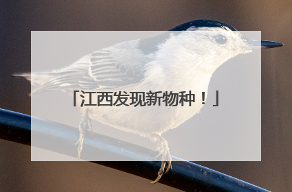 江西发现新物种！