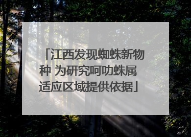 江西发现蜘蛛新物种 为研究呵叻蛛属适应区域提供依据