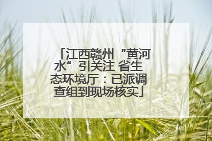 江西赣州“黄河水”引关注 省生态环境厅：已派调查组到现场核实