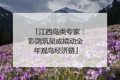 江西鸟类专家：彩鹮筑巢或撬动全年观鸟经济链