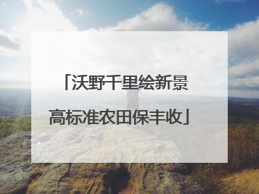 沃野千里绘新景 高标准农田保丰收