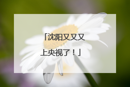 沈阳又又又上央视了！