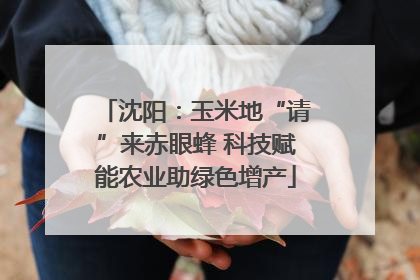 沈阳：玉米地“请”来赤眼蜂 科技赋能农业助绿色增产