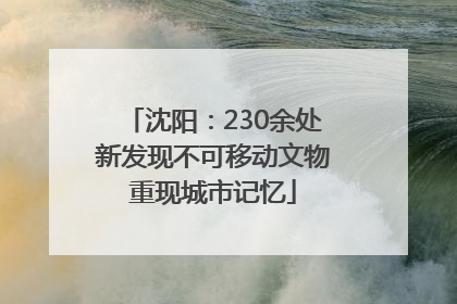 沈阳：230余处新发现不可移动文物重现城市记忆