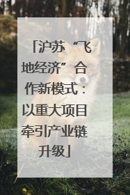 沪苏“飞地经济”合作新模式：以重大项目牵引产业链升级