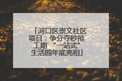 河口区崇文社区项目：争分夺秒抢工期 “一站式”生活圈年底亮相