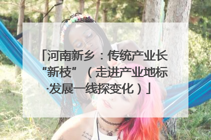 河南新乡：传统产业长“新枝”（走进产业地标·发展一线探变化）