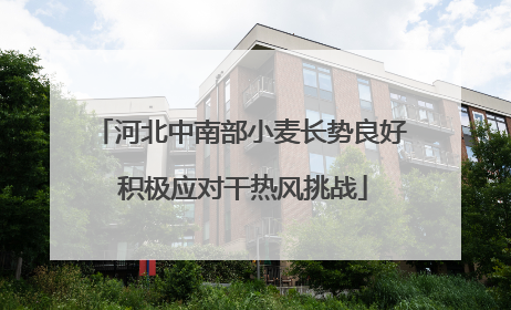 河北中南部小麦长势良好 积极应对干热风挑战