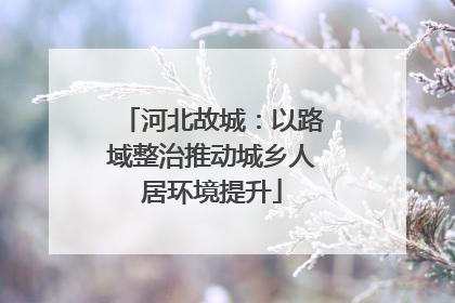 河北故城：以路域整治推动城乡人居环境提升