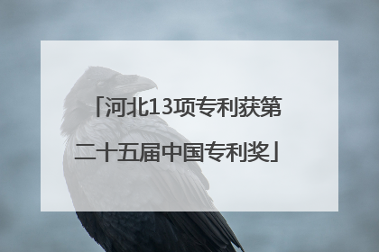 河北13项专利获第二十五届中国专利奖