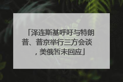 泽连斯基呼吁与特朗普、普京举行三方会谈，美俄暂未回应