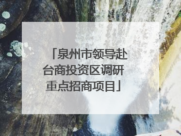 泉州市领导赴台商投资区调研重点招商项目